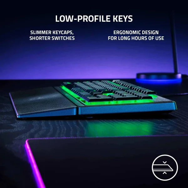 Ornata V3 X